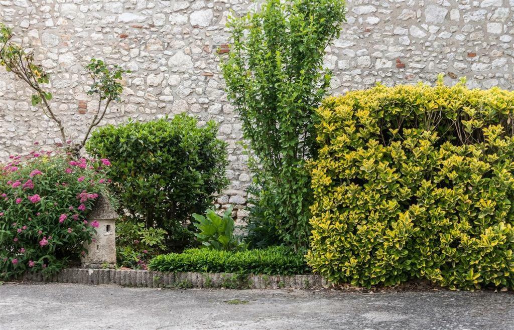 Hotel Du Cygne De La Croix Blanche Lailly-en-Val ภายนอก รูปภาพ